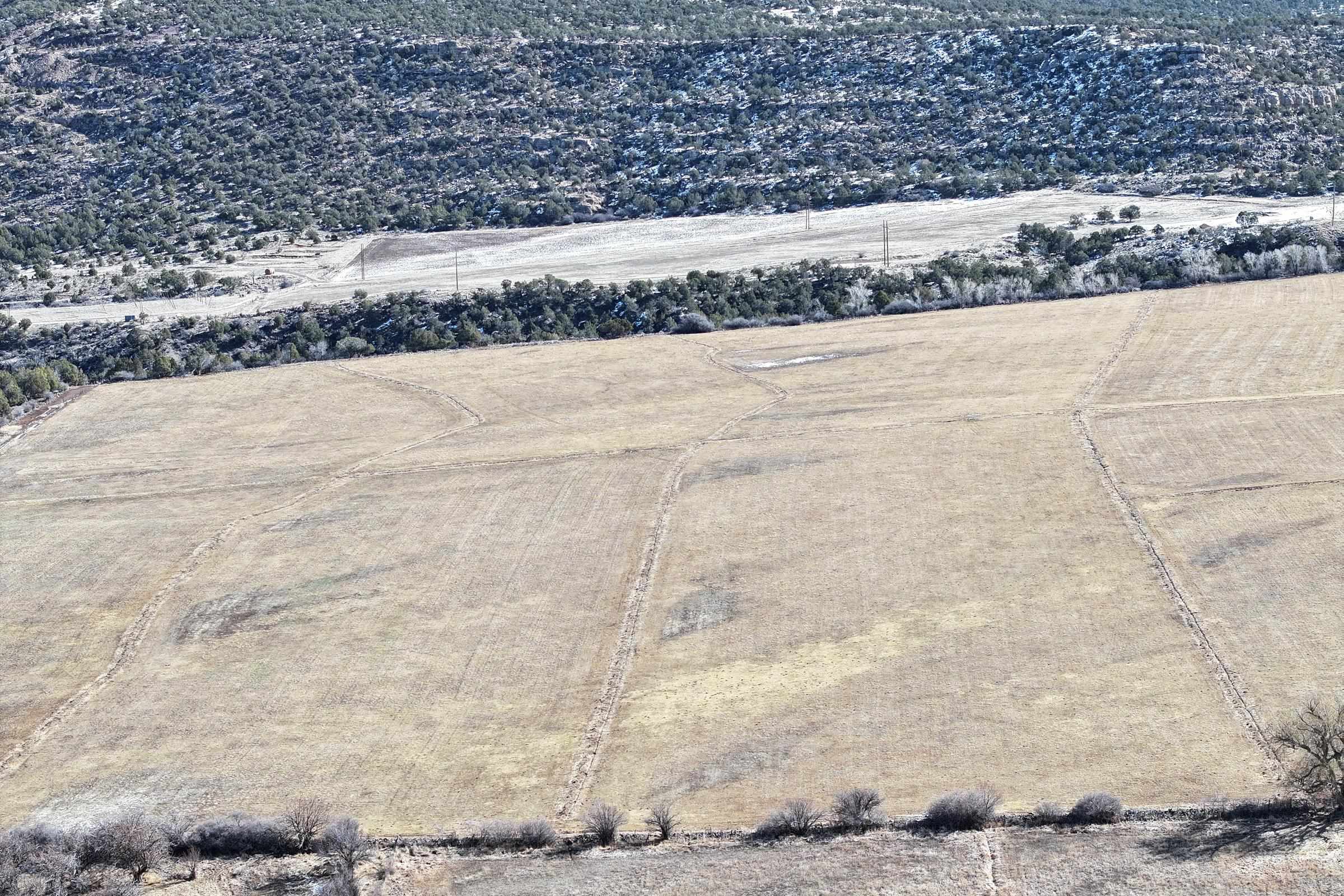 12482 54 54 7/10 Road Molina, CO 81646 - Photo 15 of 17 a view of a yard with wooden fence