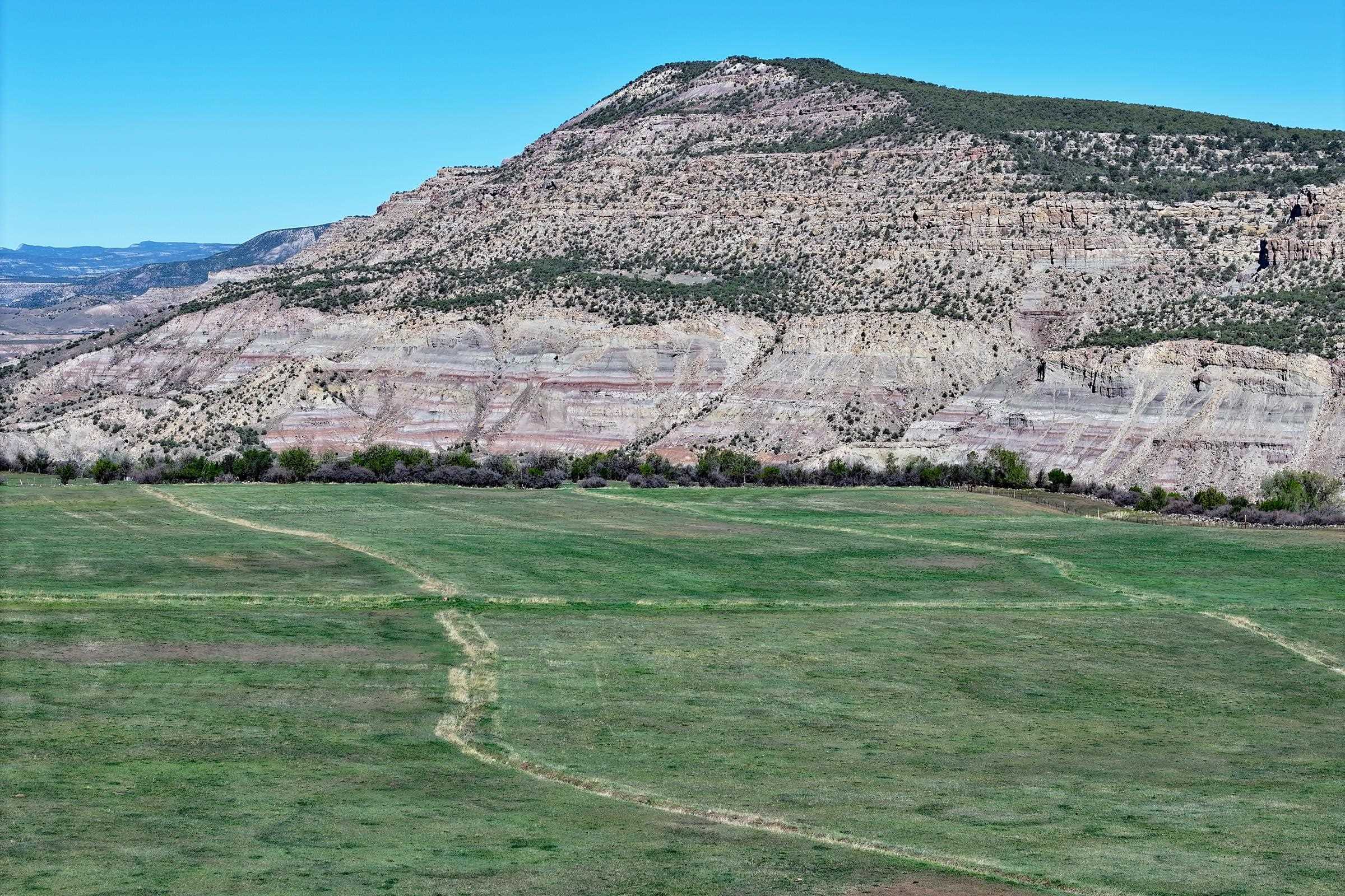 12482 54 54 7/10 Road Molina, CO 81646 - Photo 18 of 23 a view of a field with an trees