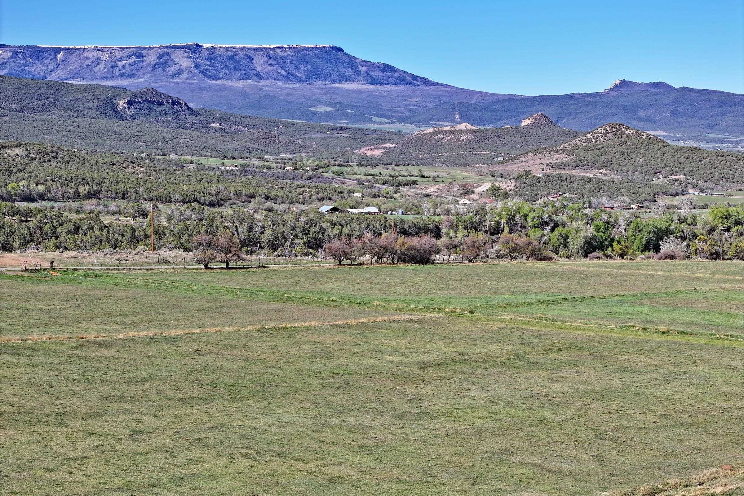 12482 54 54 7/10 Road Molina, CO 81646 - Photo 22 of 23 a view of a lush green hillside and houses
