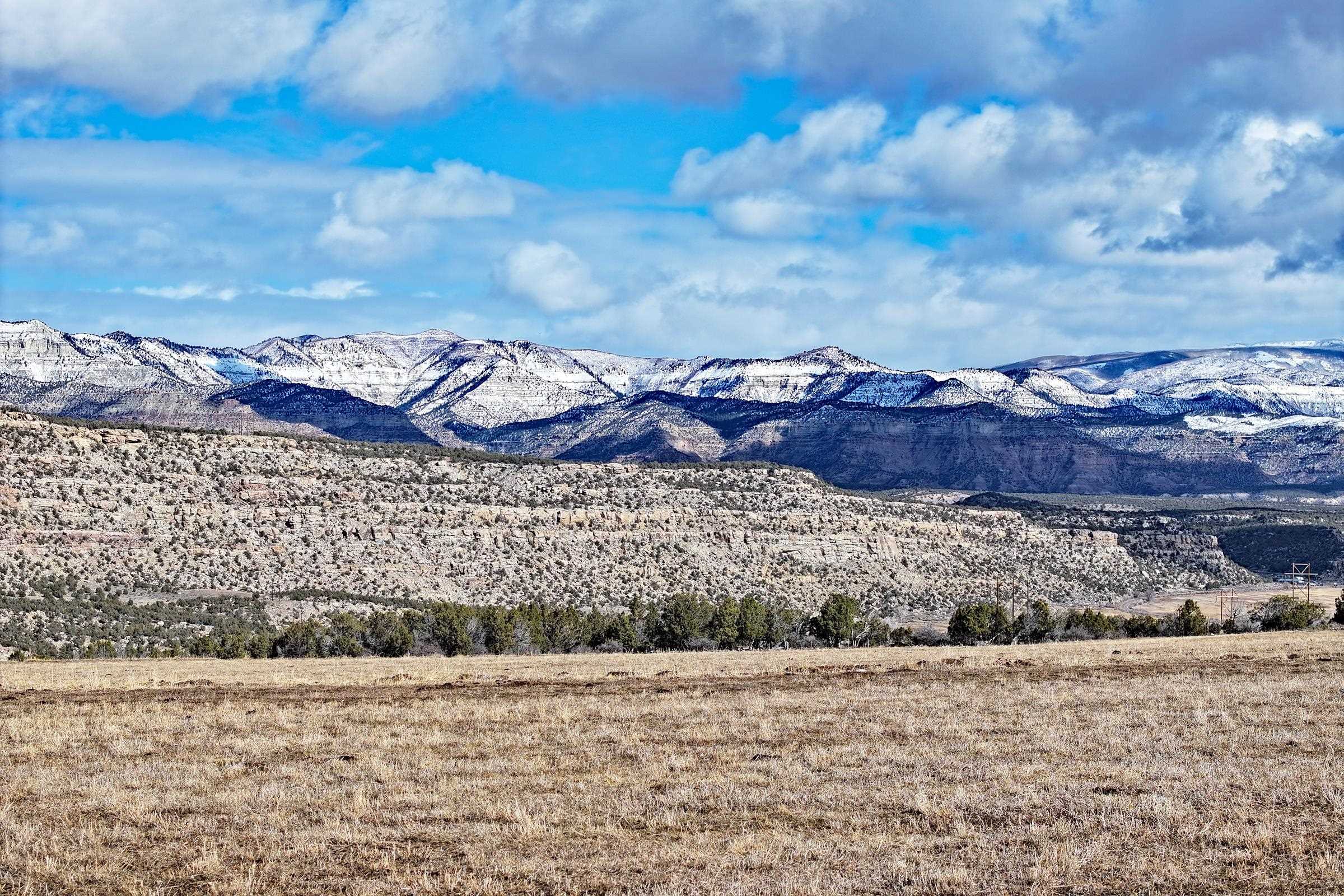 12482 54 54 7/10 Road Molina, CO 81646 - Photo 9 of 17 a view of a dry yard with wooden fence