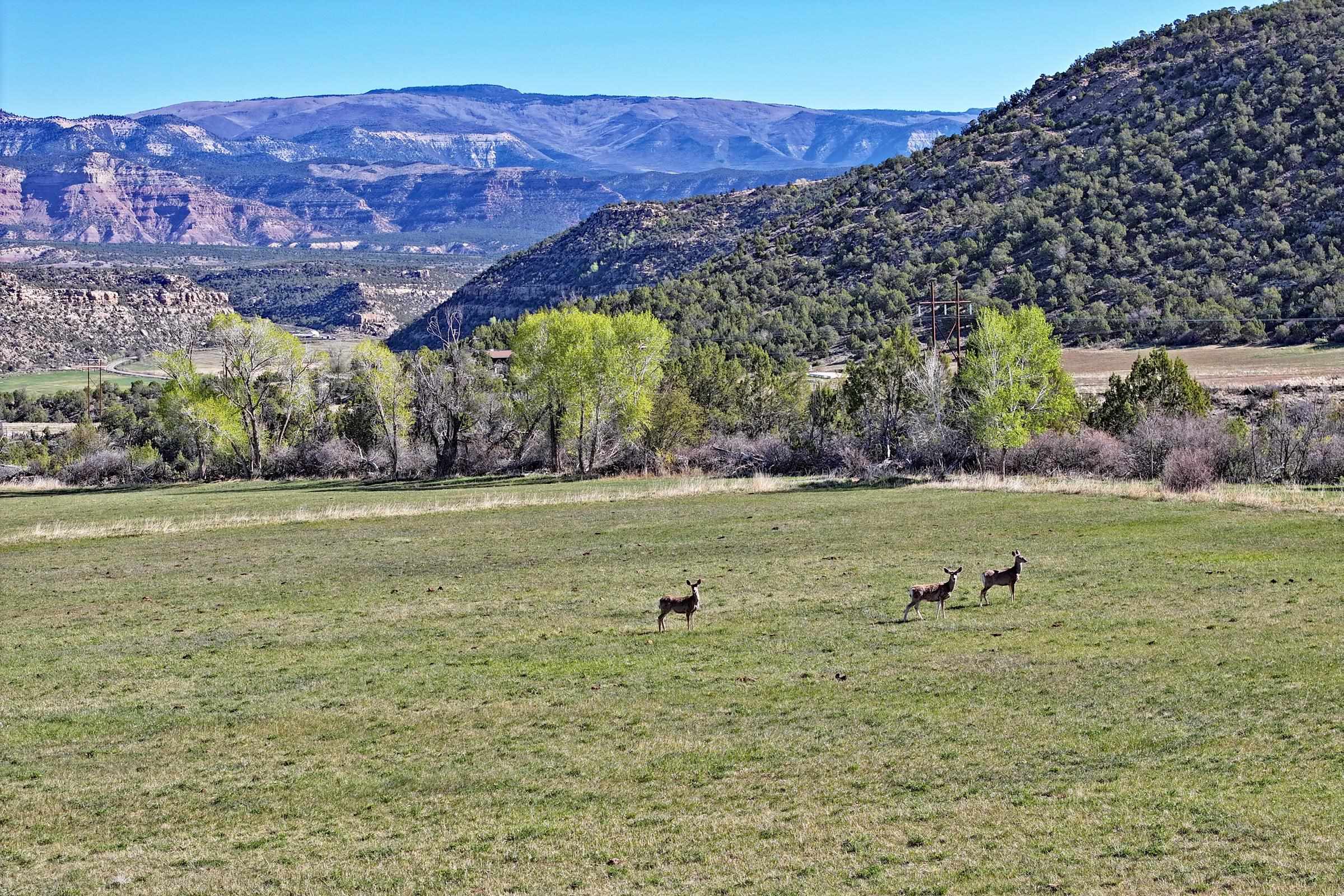 12482 54 54 7/10 Road Molina, CO 81646 - Photo 9 of 23 a view of a large body of water and mountain
