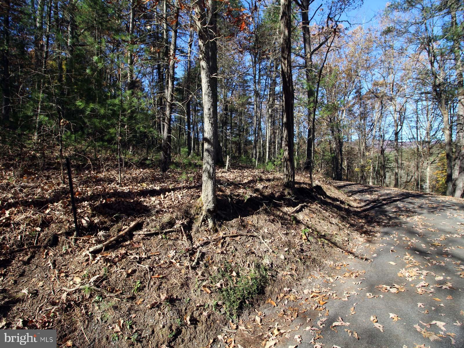 0 Breckenridge Road Basye, VA 22810 - Photo 1 of 6