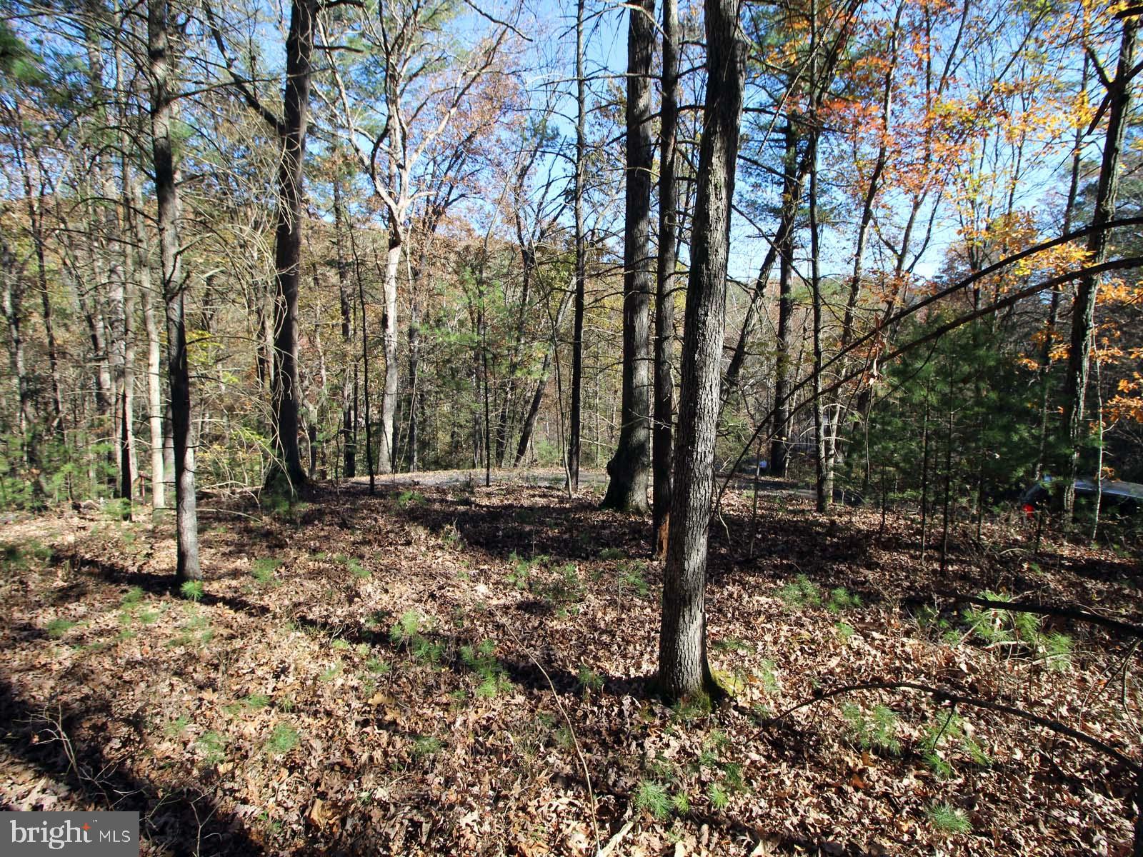 0 Breckenridge Road Basye, VA 22810 - Photo 2 of 6