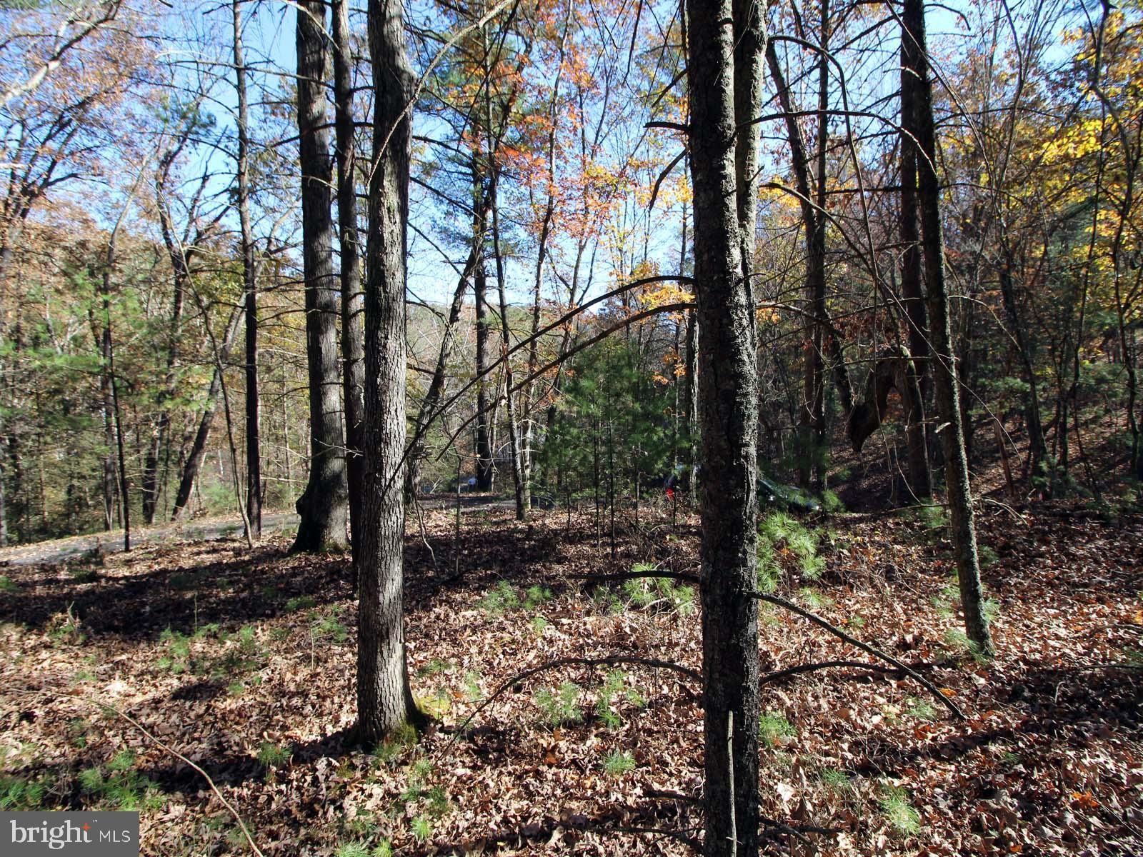 0 Breckenridge Road Basye, VA 22810 - Photo 3 of 6