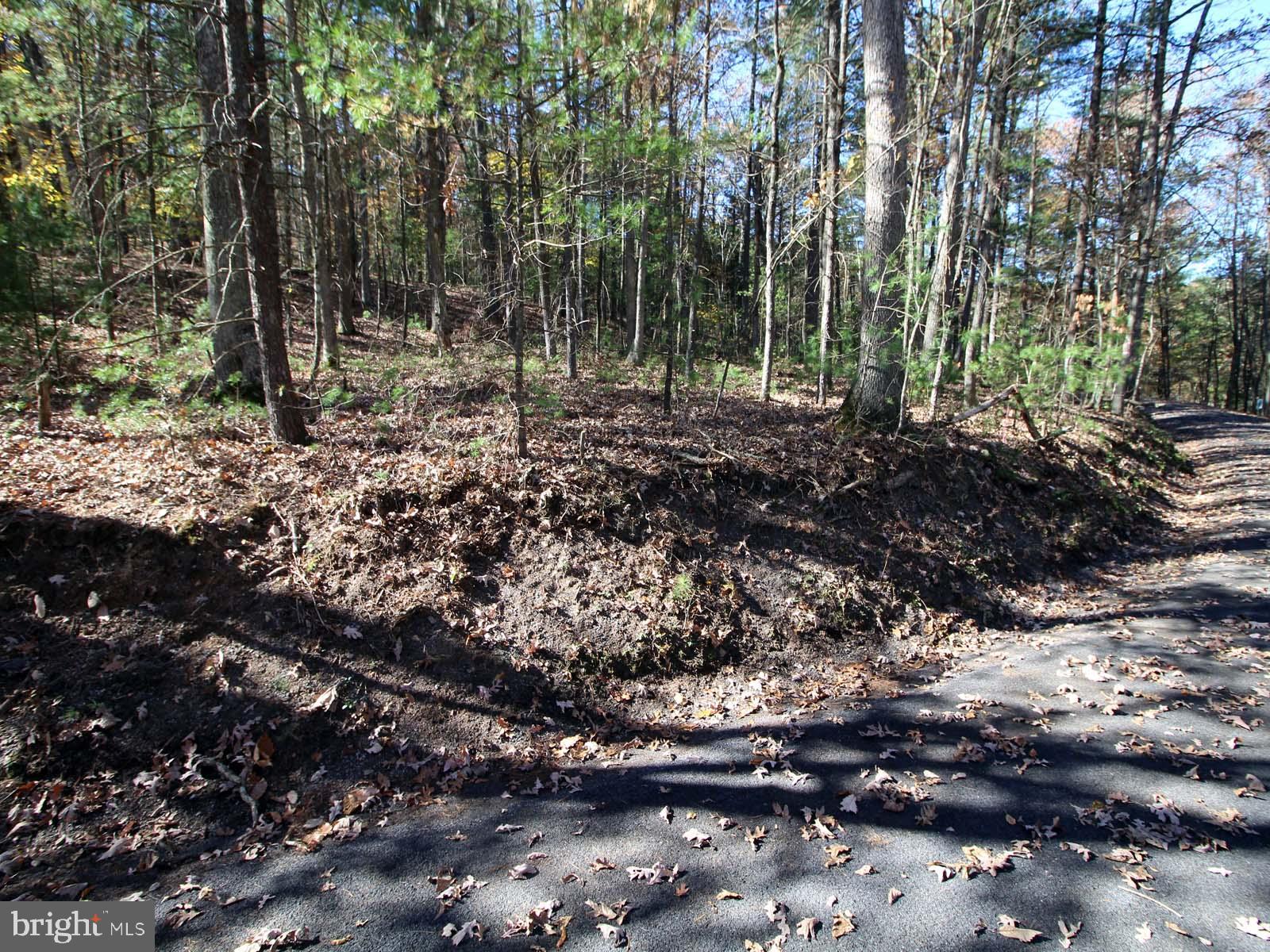 0 Breckenridge Road Basye, VA 22810 - Photo 4 of 6