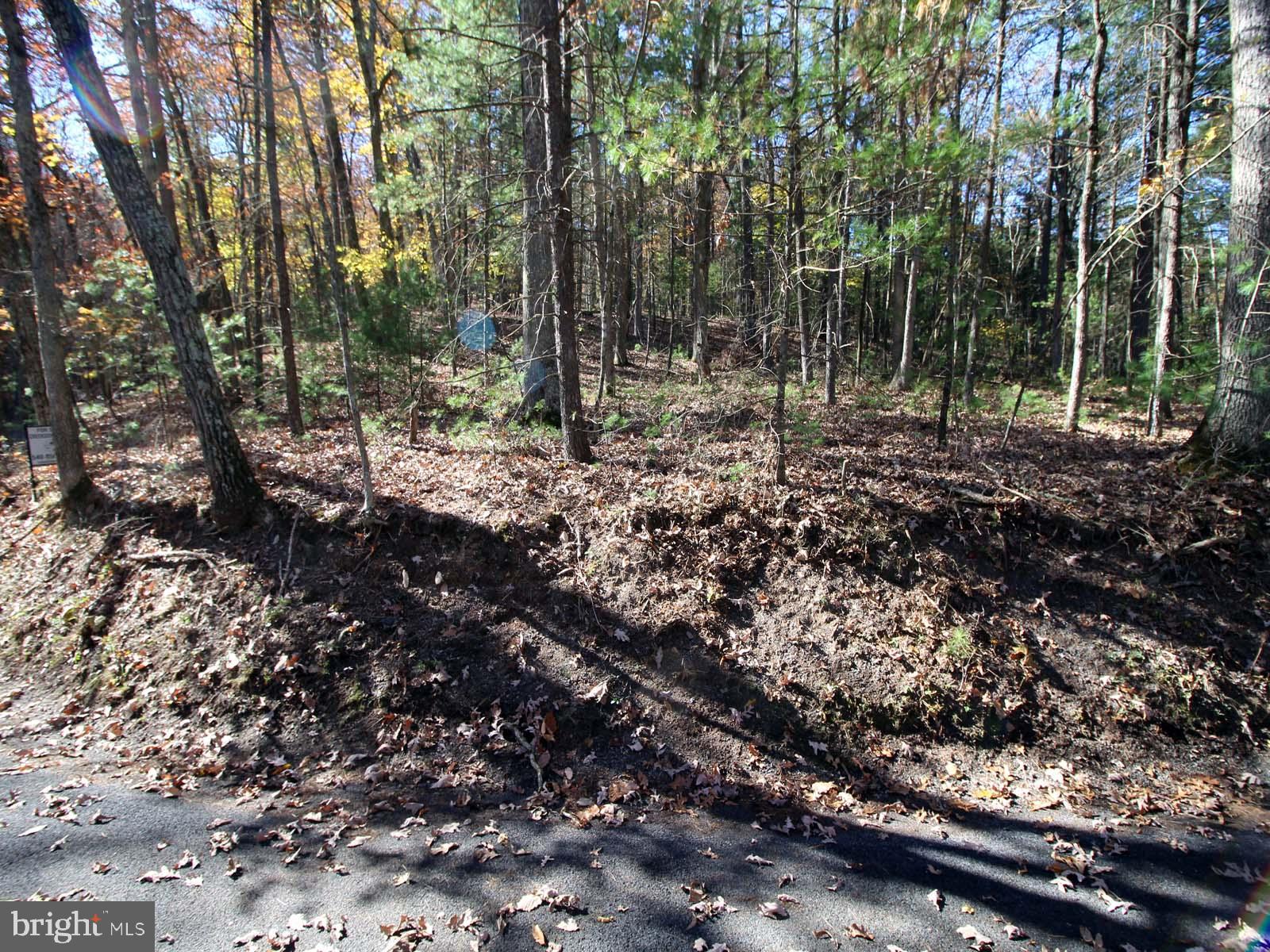 0 Breckenridge Road Basye, VA 22810 - Photo 6 of 6