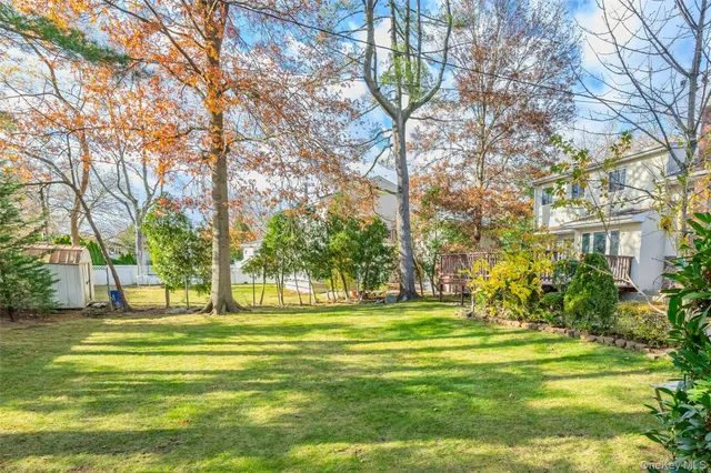 a big yard with trees