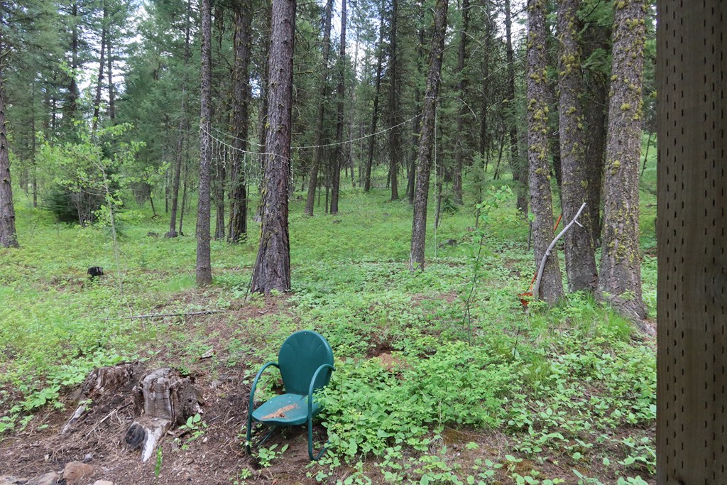 Tbd Council Cuprum Road Council, ID 83612 - Photo 15 of 20