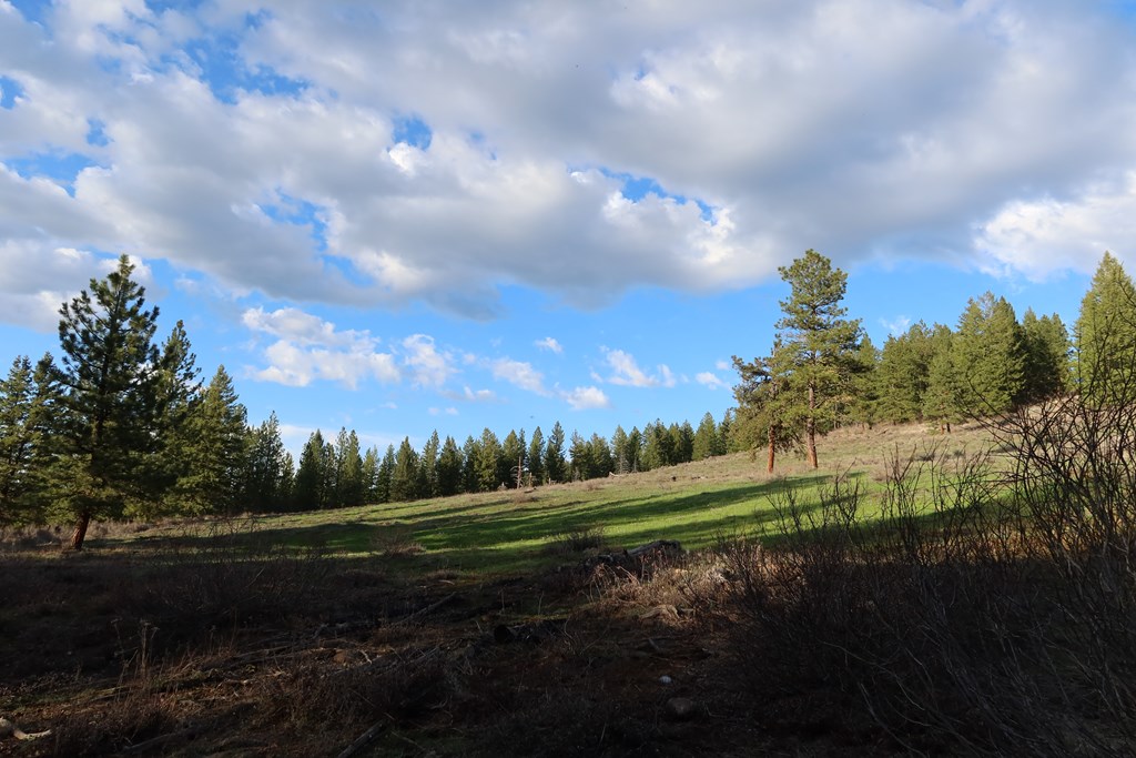 Tbd Council Cuprum Road Council, ID 83612 - Photo 2 of 20