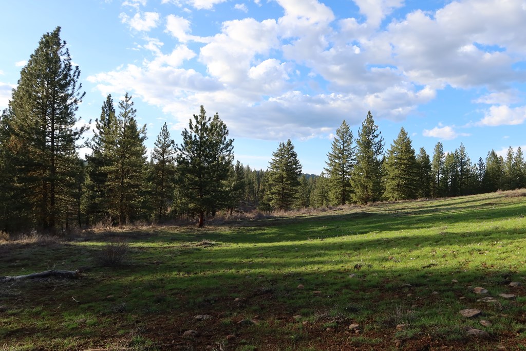 Tbd Council Cuprum Road Council, ID 83612 - Photo 3 of 20