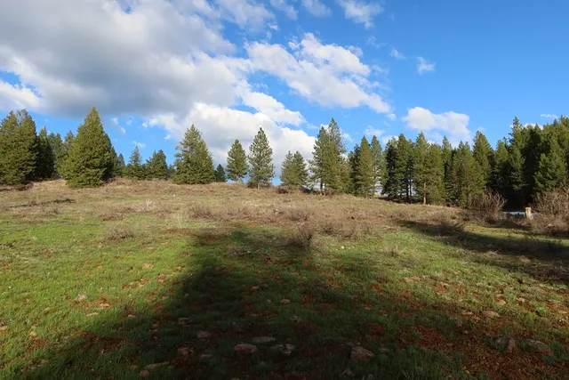 $429,000 | Tbd Council Cuprum Road, Council, ID 83612