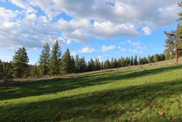 $429,000 | Tbd Council Cuprum Road, Council, ID 83612