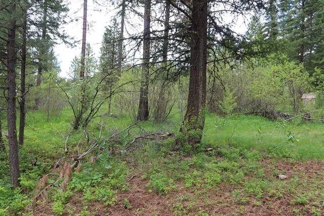 $429,000 | Tbd Council Cuprum Road, Council, ID 83612