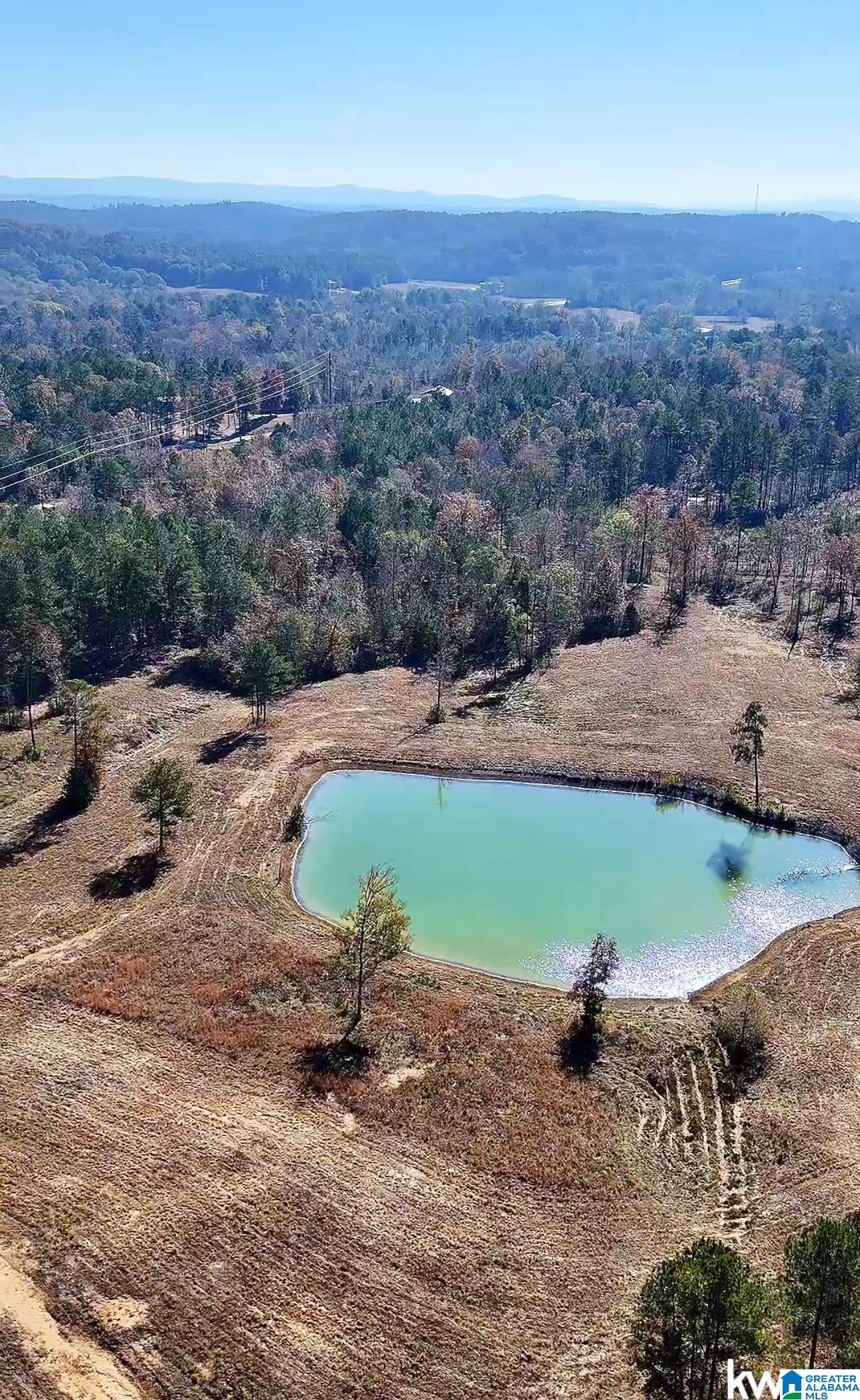 0 Gilberts Ferry Road Ohatchee, AL 36271 - Photo 1 of 11