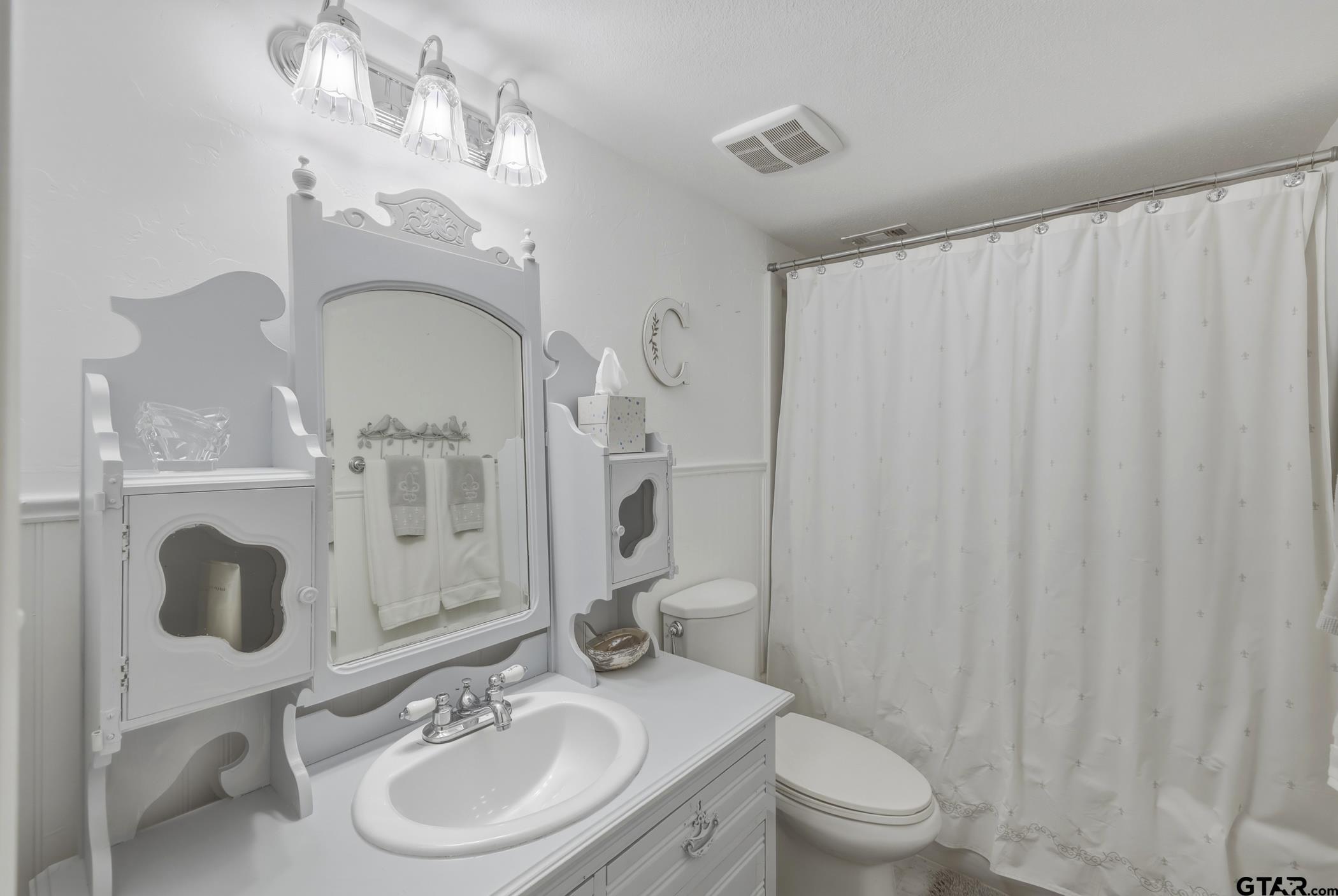 178 Holly Hill Circle Holly Lake Ranch, TX 75765 - Photo 7 of 18 a bathroom with a sink a toilet and a mirror