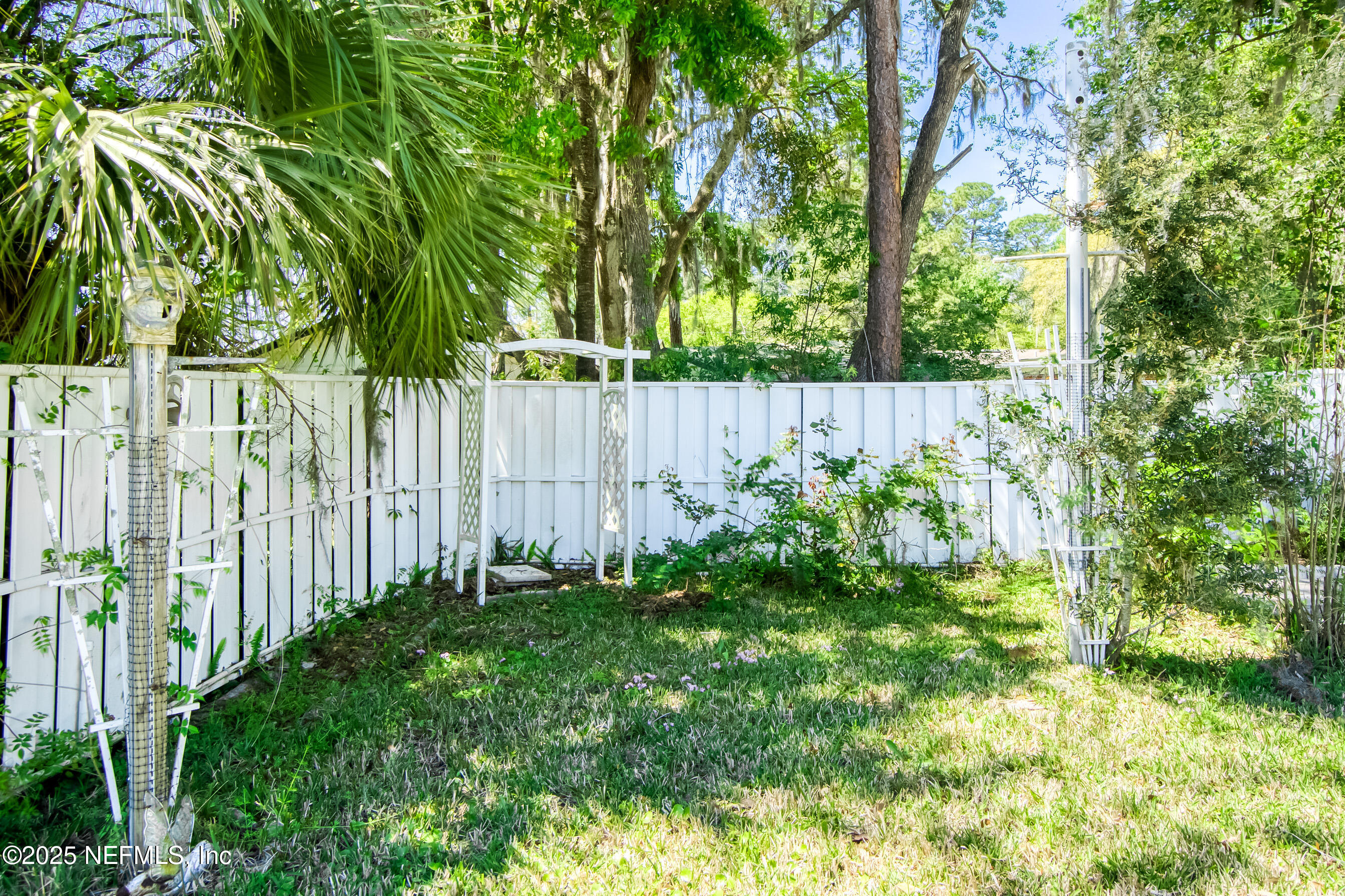 11084 Ker Del Road Jacksonville, FL 32218 - Photo 26 of 26 a view of a yard with large trees and plants