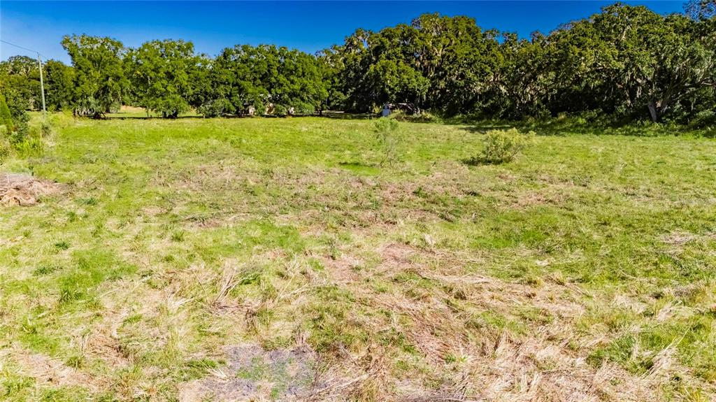 5428 Durant Road Dover, FL 33527 - Photo 10 of 17 Gallery Image 10