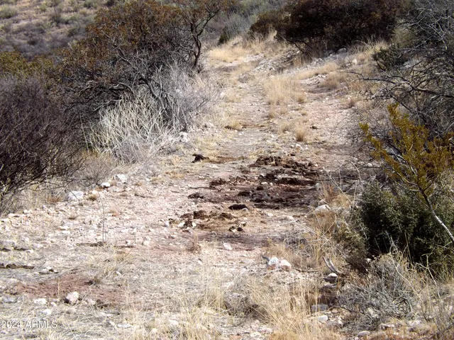 a view of a lake from a yard