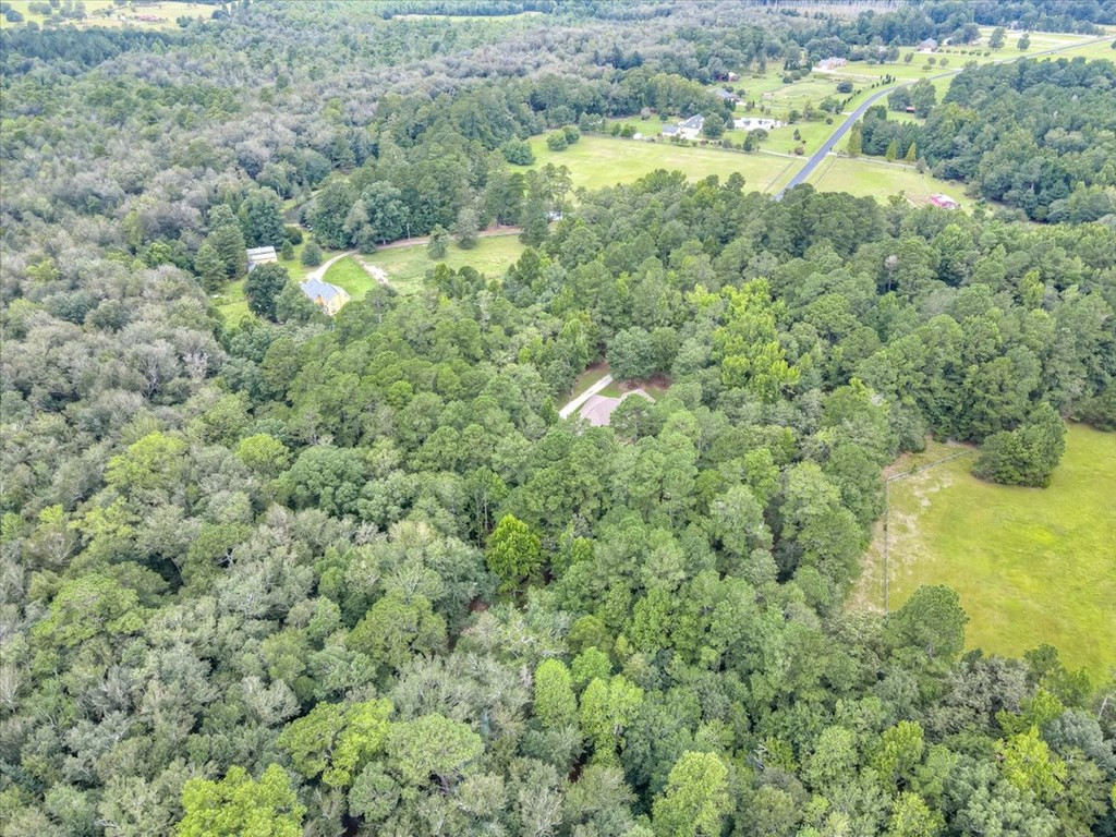 148 Twin Creek Farm Road Aiken, SC 29805 - Photo 60 of 62