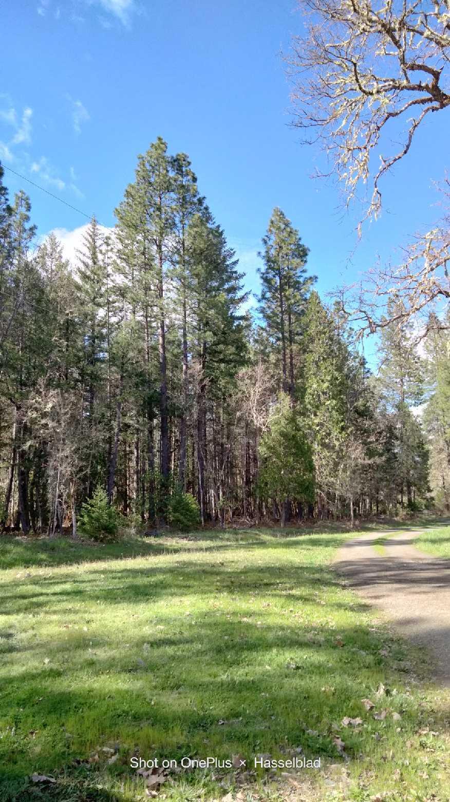 575 Kirkham Road Cave Junction, OR 97523 - Photo 12 of 45