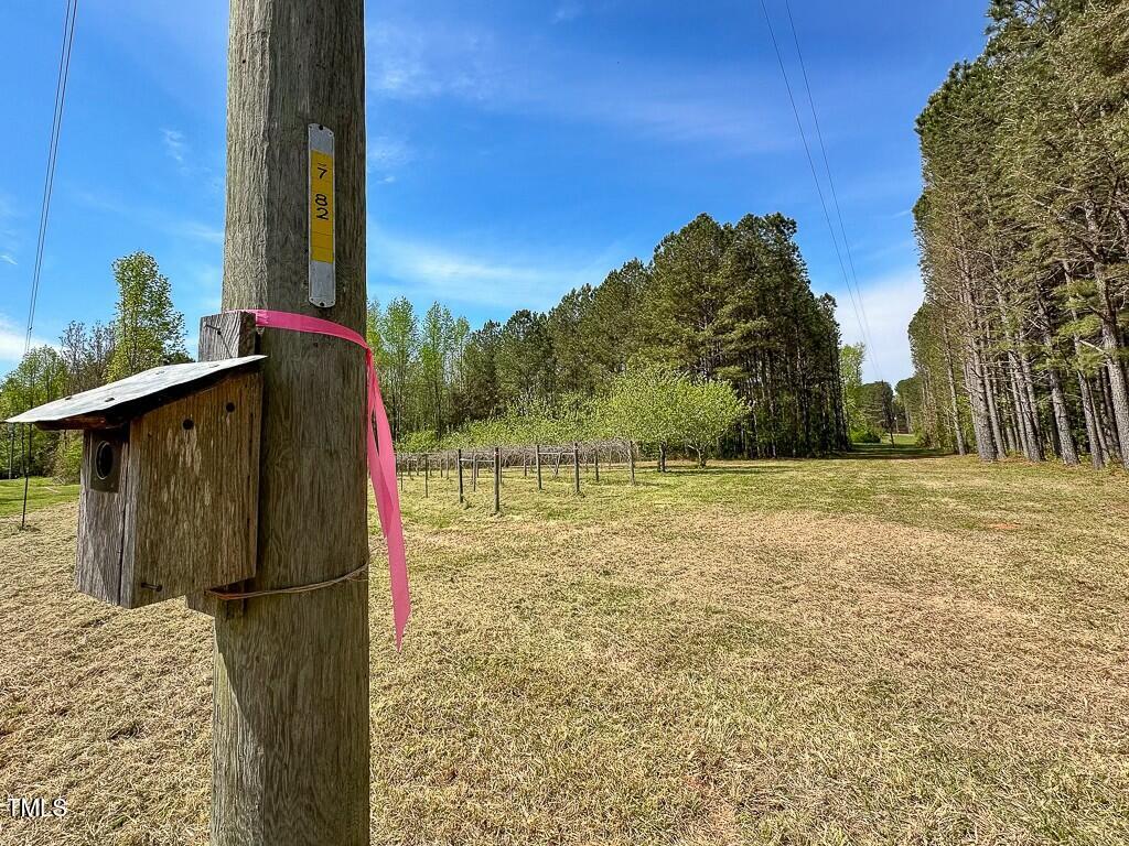 0 Rifle Range Road Warrenton, NC 27589 - Photo 11 of 38 tempImagebs5dVT