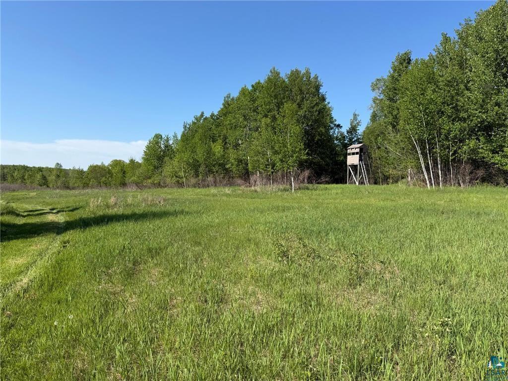 54003 Dollar Lake Road Sandstone, MN 55072 - Photo 14 of 40