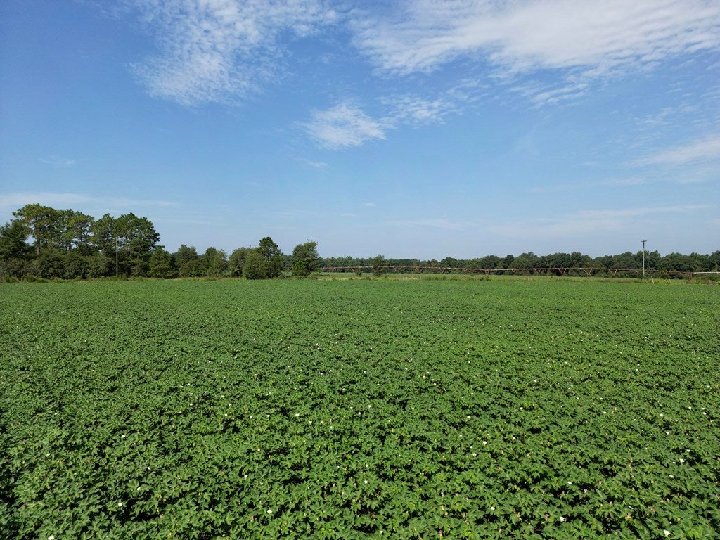 0 Hempstead Church Road Moultrie, GA 31788 - Photo 14 of 20 Gallery Image 14