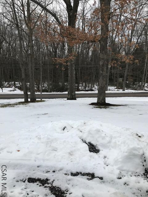 717 Shaffer Mountain Road Cairnbrook, PA 15924 - Photo 16 of 19 Gallery Image 16