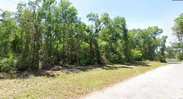 $25,000 | 4374 North Mate Lane, Hernando, FL 34442