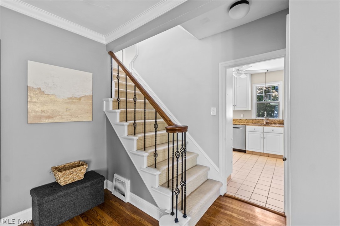 17029 Fernway Road Cleveland, OH 44120 - Photo 21 of 37 Gallery Image 21