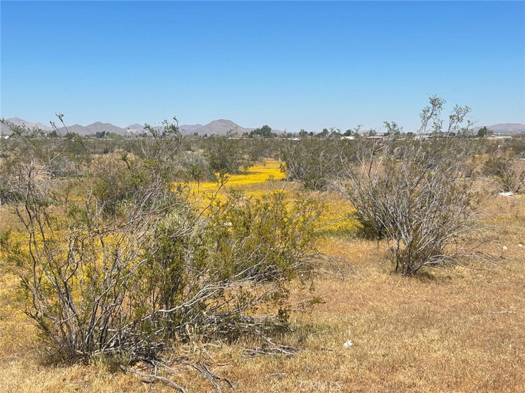 20 Matawan Road Apple Valley, CA 92308 - Photo 13 of 13 a view of lake and mountain