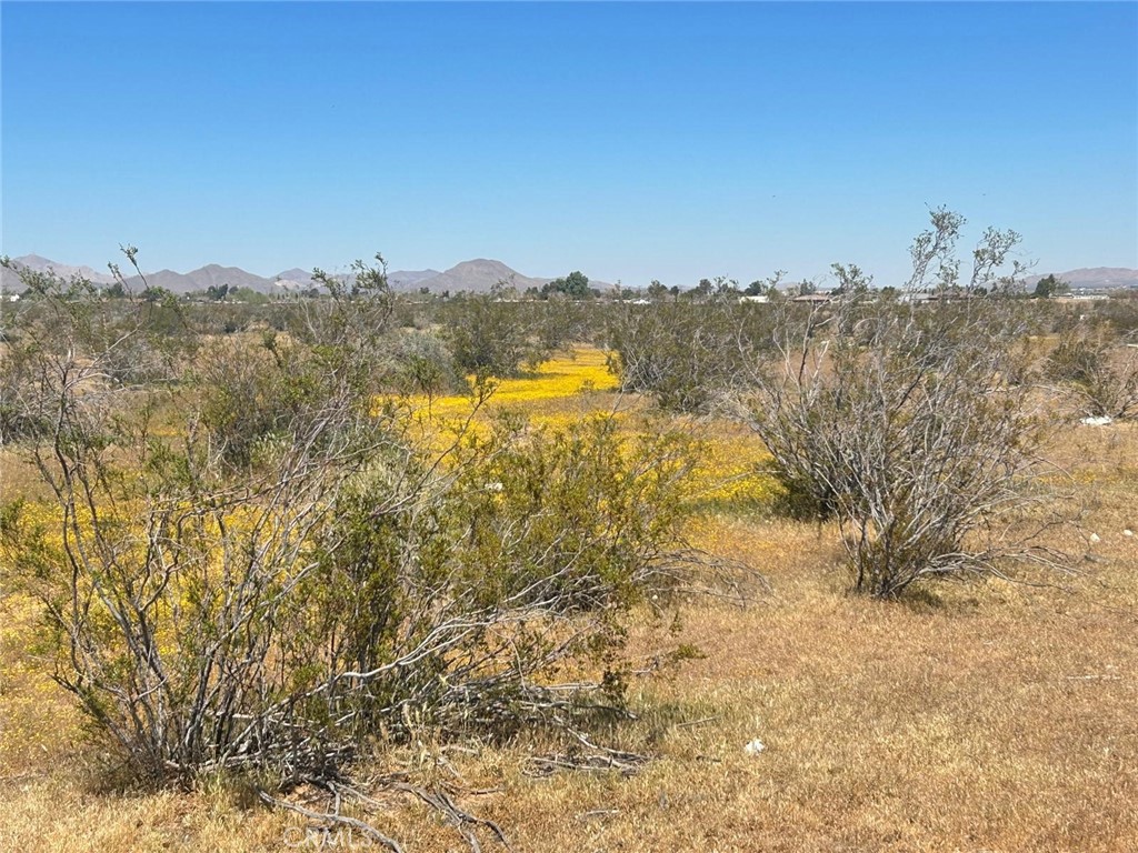 20 Matawan Road Apple Valley, CA 92308 - Photo 5 of 13 a view of lake and mountain