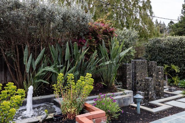 a plant that is in a garden