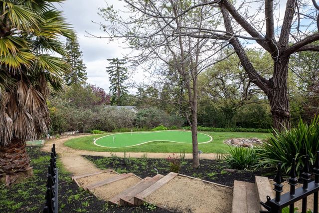 a view of a park with large trees