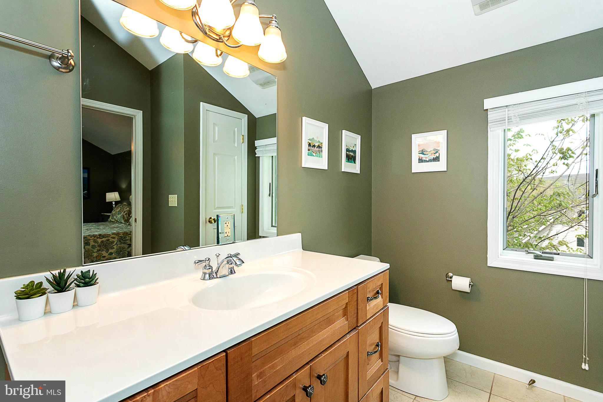 175 Roman Ridge Road, Unit 15 Oakland, MD 21550 - Photo 29 of 55 Upper level bath