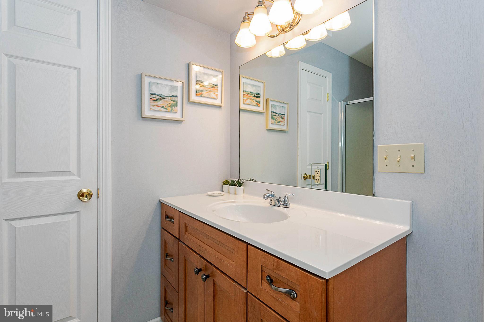 175 Roman Ridge Road, Unit 15 Oakland, MD 21550 - Photo 36 of 55 Upper level bath 2