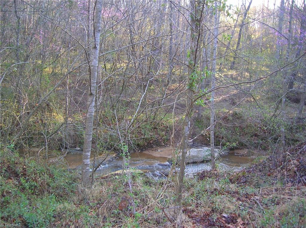 1869 Flat Shoals Road King, NC 27021 - Photo 10 of 10