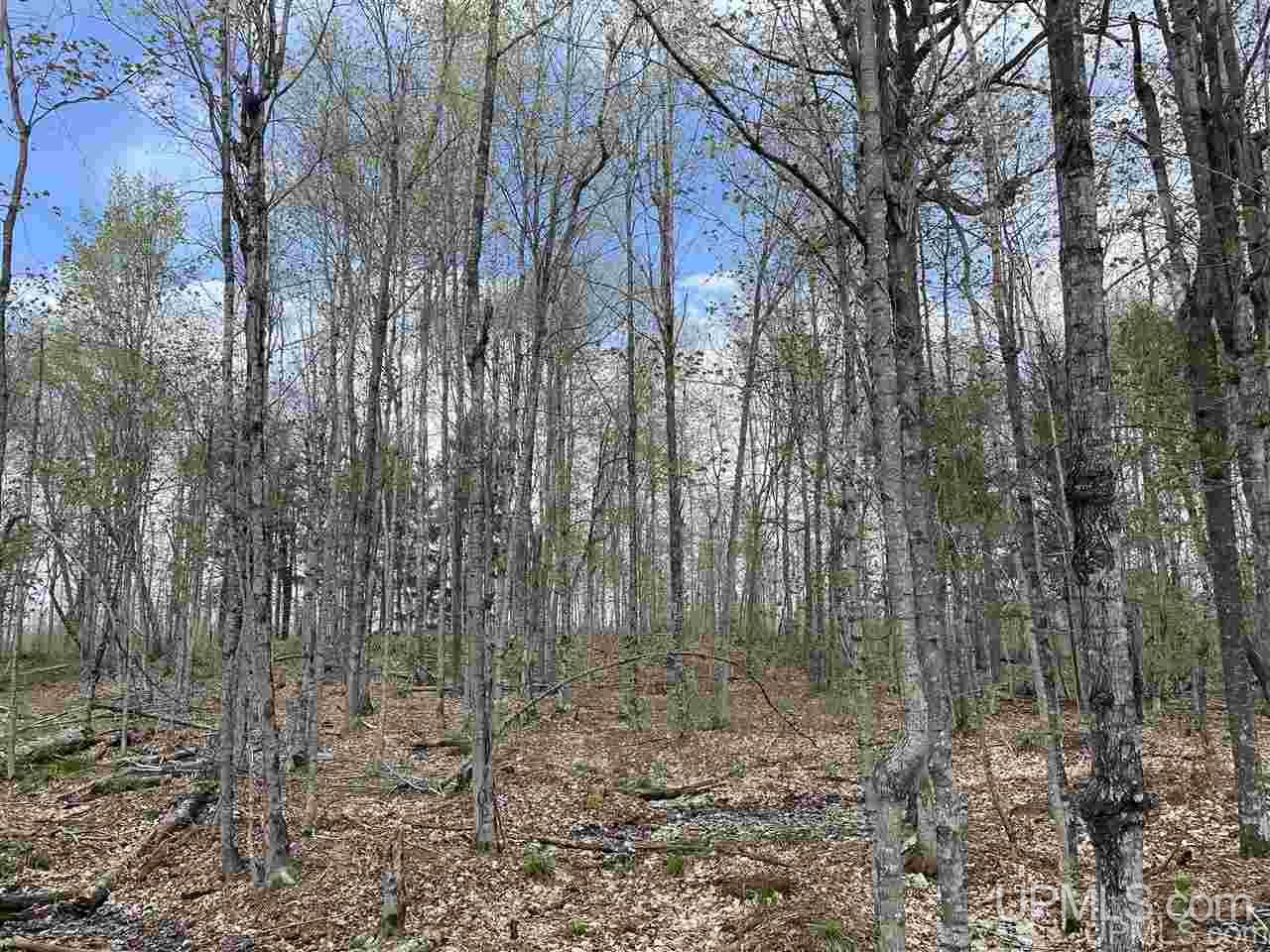 Tbd Tbd Truax Road, Unit 1 Cornell, MI 49818 - Photo 30 of 43