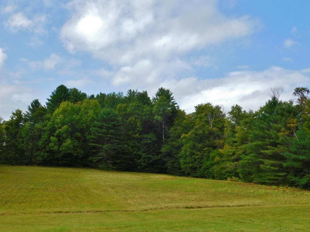 66 Eddy Road Chester, VT 05143 - Photo 14 of 20