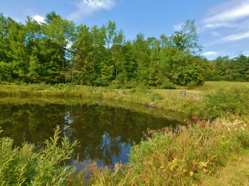 66 Eddy Road Chester, VT 05143 - Photo 15 of 20