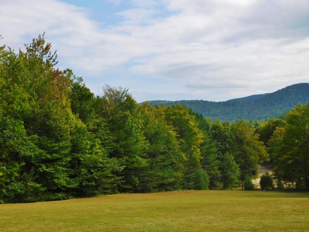 66 Eddy Road Chester, VT 05143 - Photo 17 of 20
