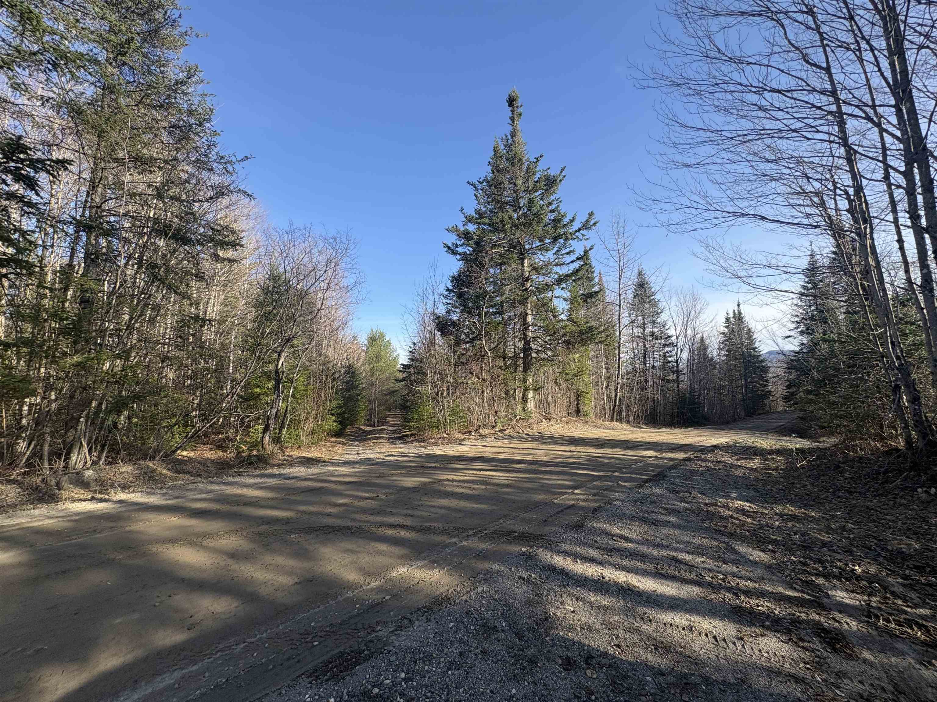 208 Drake Pl Road Sheffield, VT 05866 - Photo 26 of 27