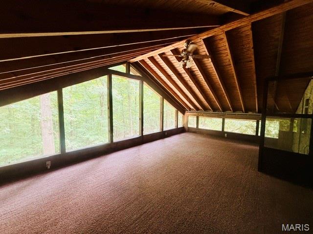 88 Rochester Lane Wappapello, MO 63966 - Photo 39 of 53