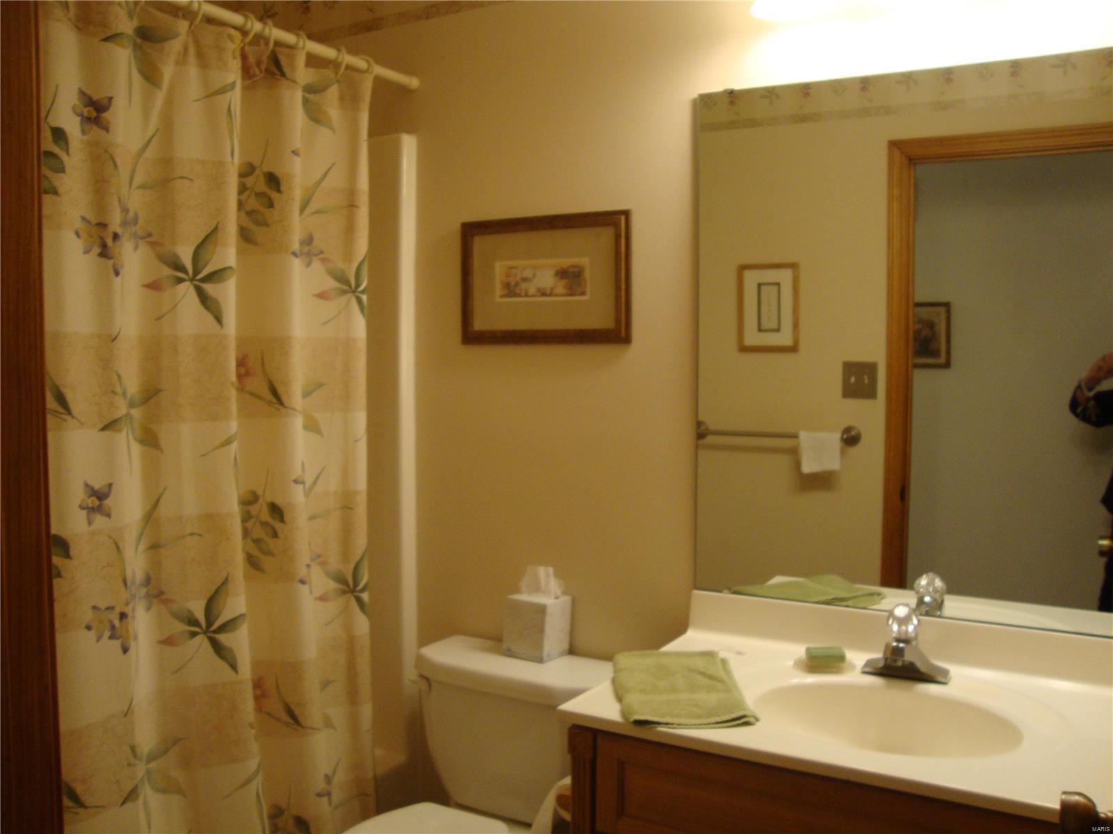 1968 Raintree Trail Collinsville, IL 62234 - Photo 13 of 20 Gallery Image 13