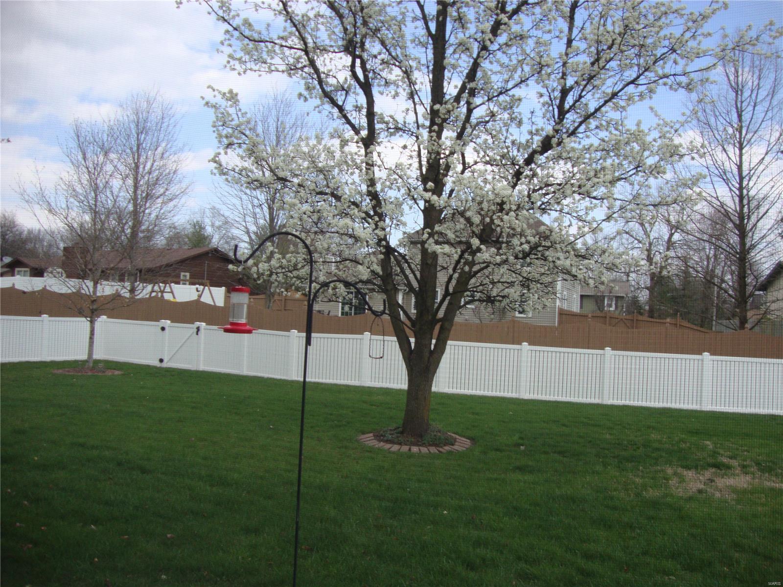 1968 Raintree Trail Collinsville, IL 62234 - Photo 20 of 20 Gallery Image 20
