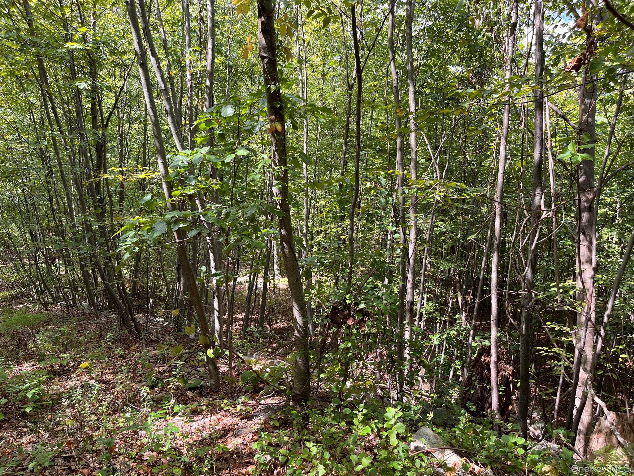 31 Ridgecrest Road Lake Peekskill, NY 10537 - Photo 4 of 4