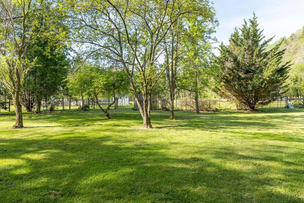 678 Marble Valley Road Deerfield, VA 24432 - Photo 14 of 75 Gallery Image 14