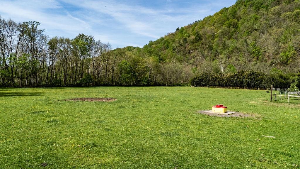 678 Marble Valley Road Deerfield, VA 24432 - Photo 66 of 75 Gallery Image 66