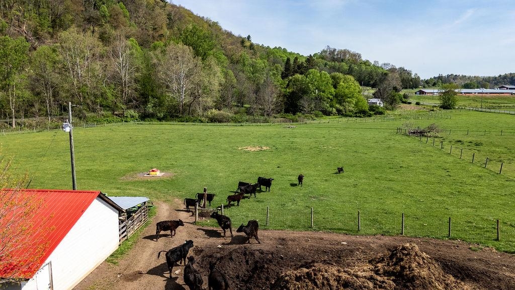 678 Marble Valley Road Deerfield, VA 24432 - Photo 67 of 75 Gallery Image 67