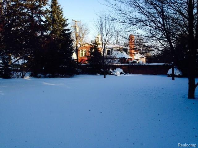 33 Shoreham Road Grosse Pointe, MI 48236 - Photo 26 of 30 Backyard